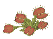 carnivorous plant